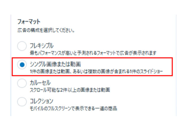 フォーマットの選択