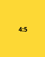 アスペクト比4：5