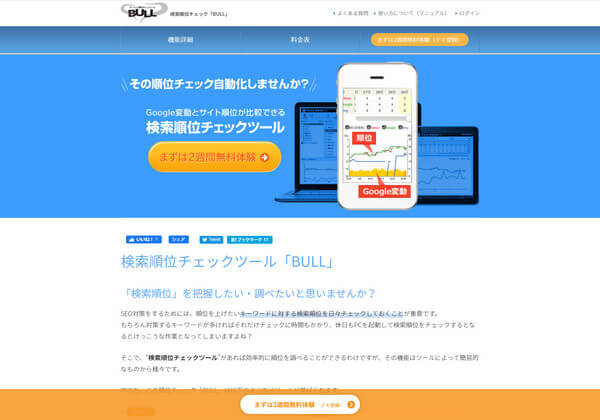 bull